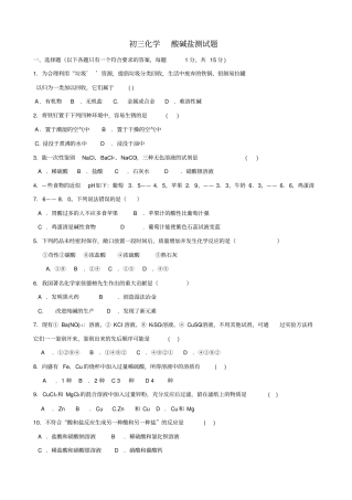 人教版九年级化学下册初三酸碱盐测试题