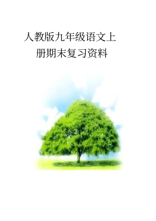 人教版九年级语文上册期末复习资料1分析