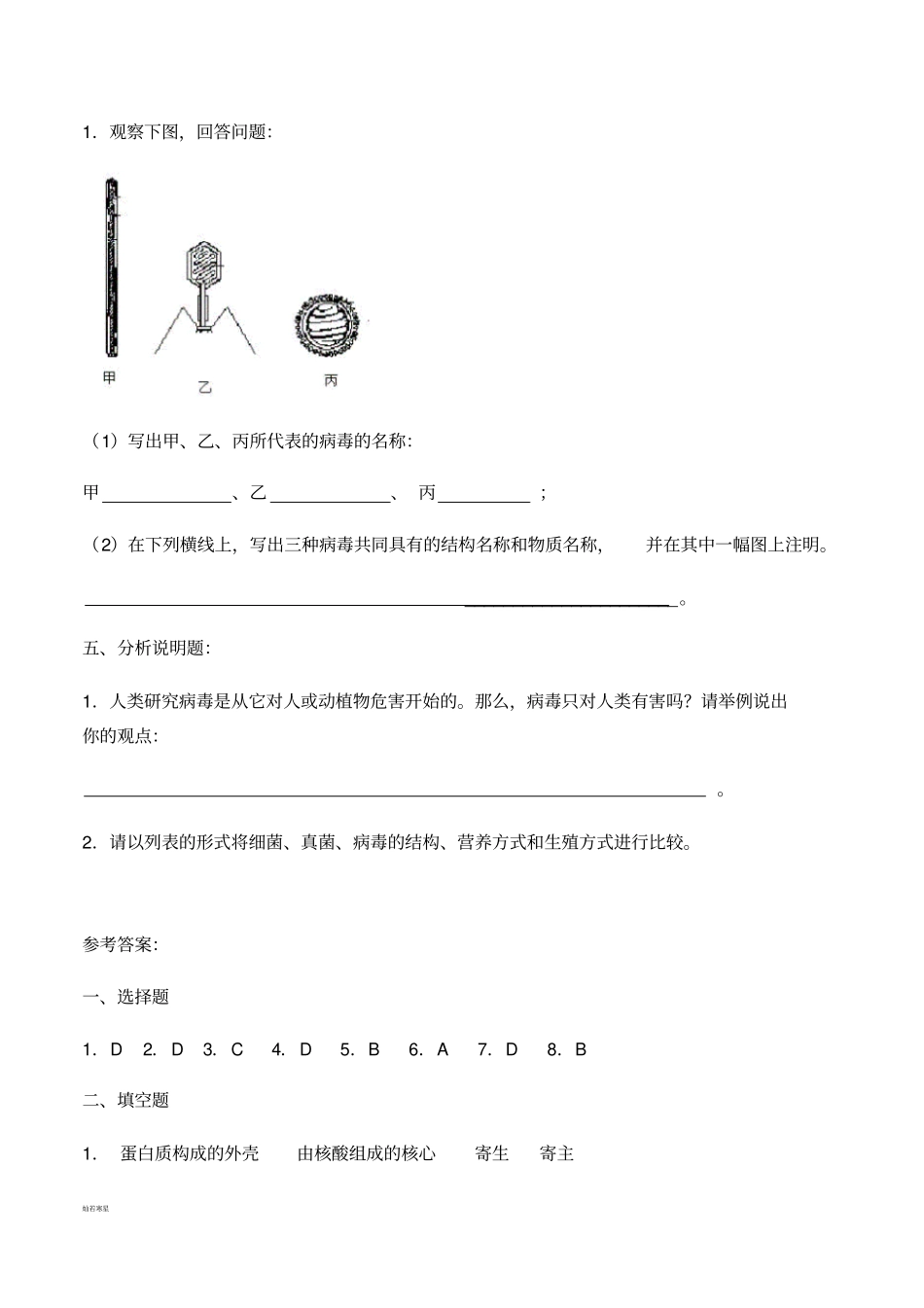 人教版八上生物病毒_第3页