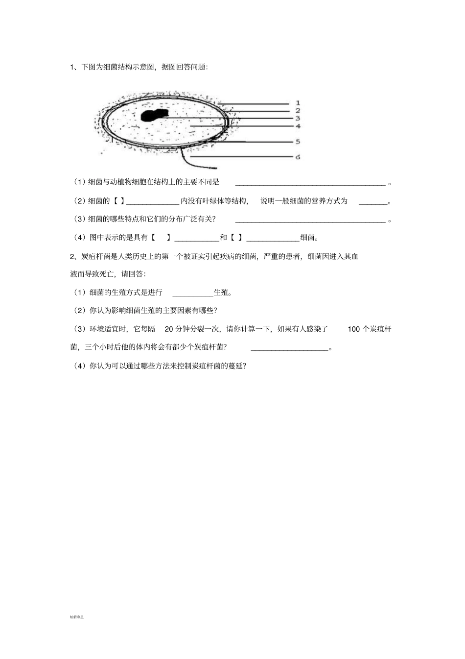 人教版八上生物细菌习题_第2页