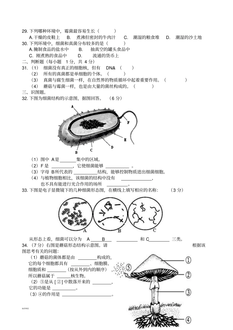 人教版八上生物细菌和真菌测试卷及答案_第3页