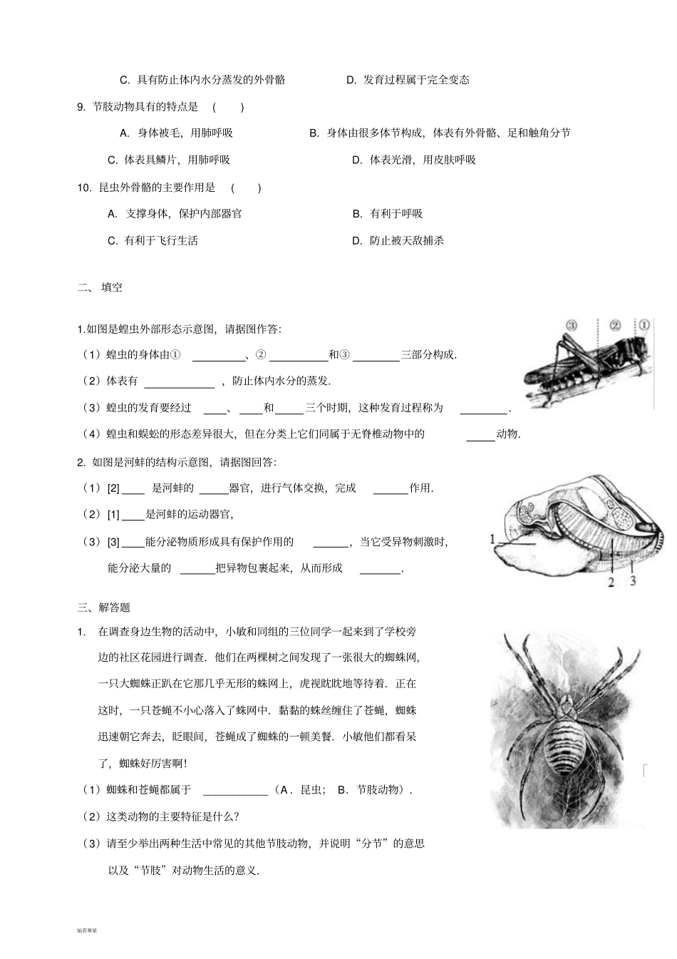 人教版八上生物软体动物和节肢动物练习_第2页