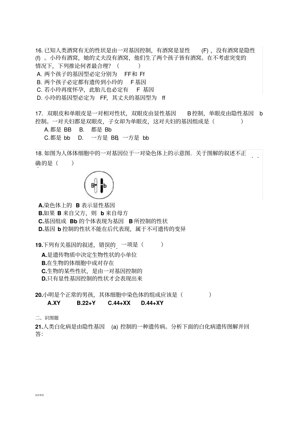 人教版八下生物专题二：生物的遗传、变异和进化_第3页