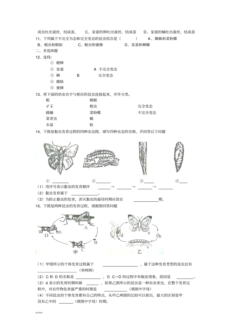 人教版八下生物昆虫的生殖和发育_第2页