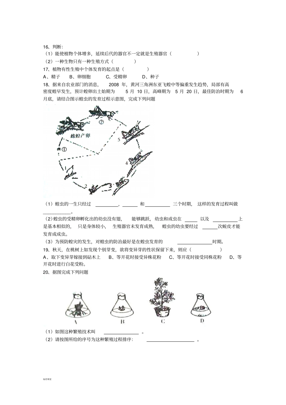 人教版八下生物昆虫的生殖和发育_第3页