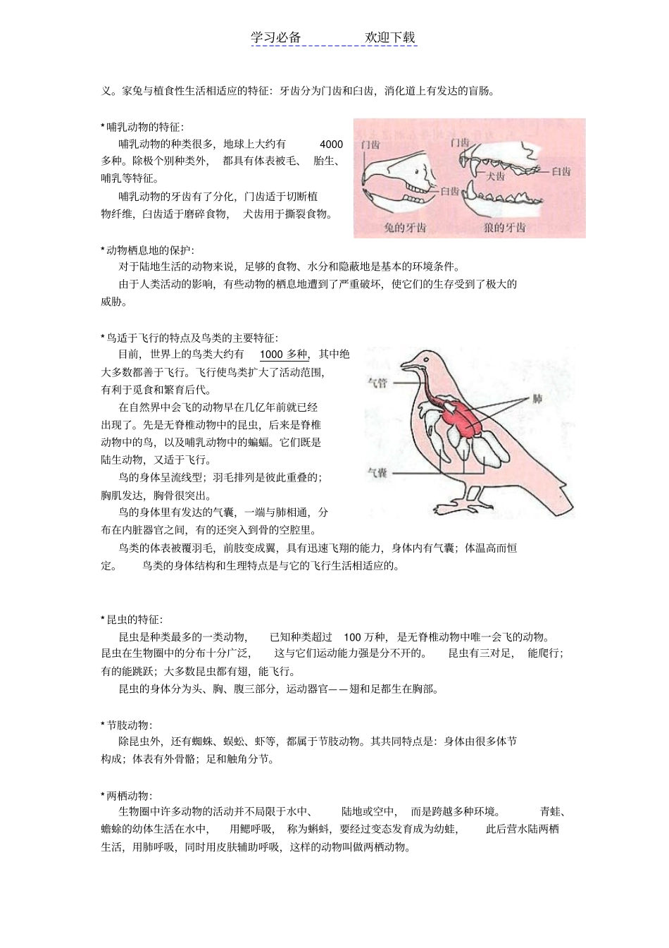人教版八年级上册生物复习提纲_第2页