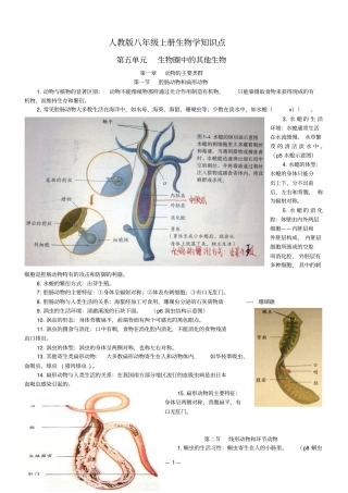 人教版八年级上册生物学知识点资料
