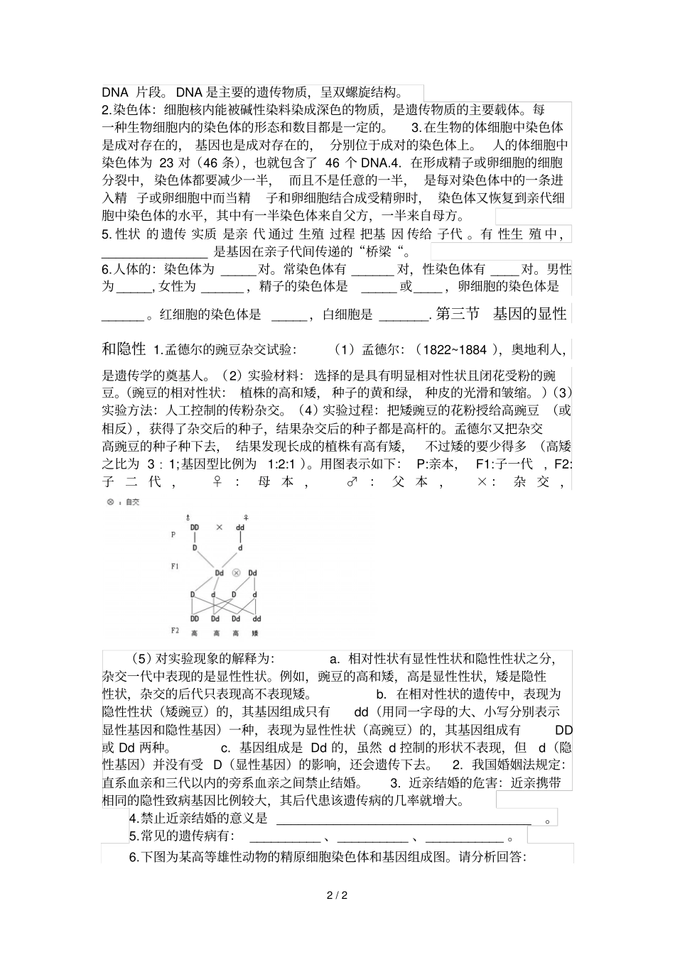 人教版八年级下期生物的遗传和变异知识点27260_第2页