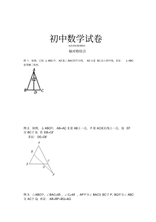 人教版八年级数学上册轴对称综合