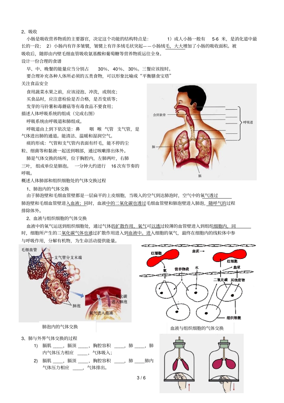 人教版初中一级下册生物复习C_第3页