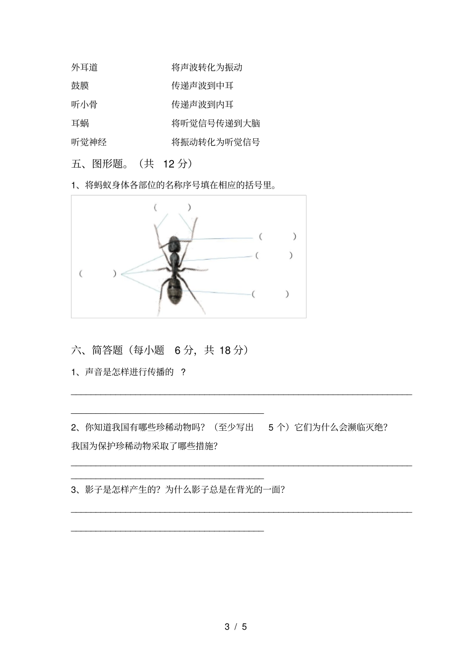 人教版四年级科学上册第二次月考试卷【含答案】_第3页