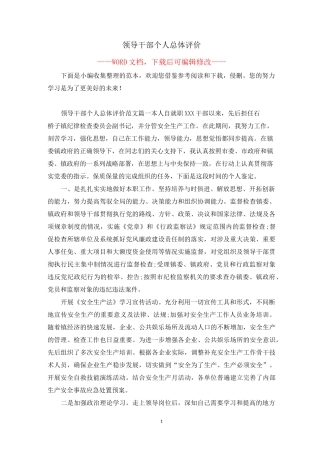 领导干部个人总体评价