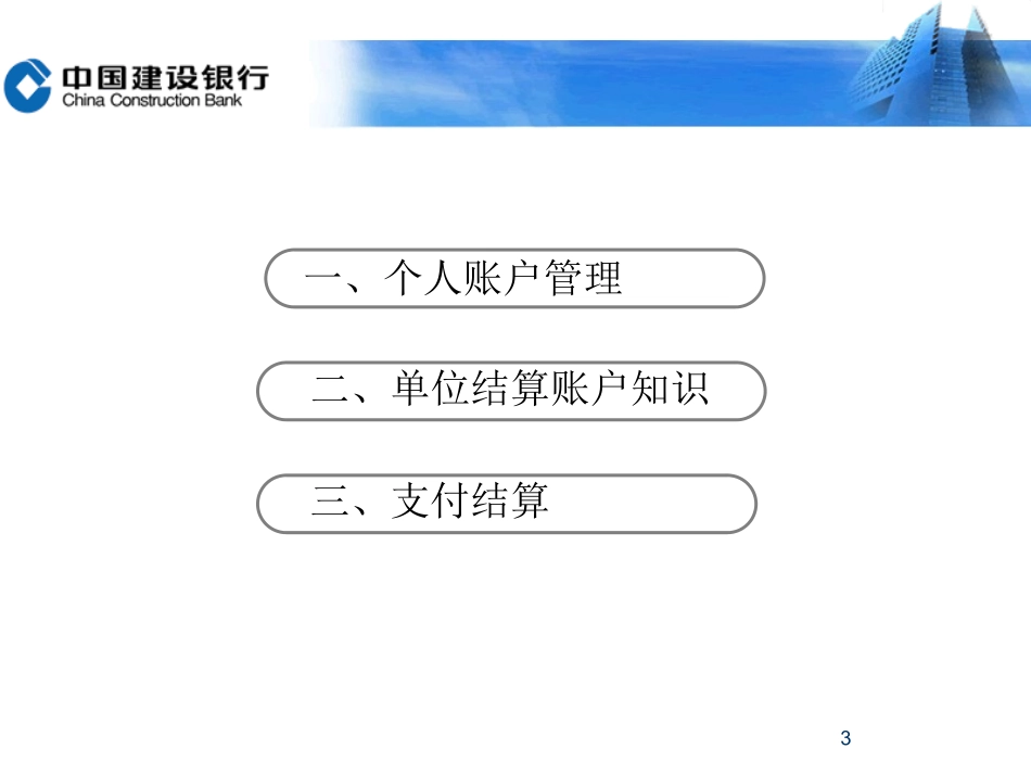 支付结算及账户管理(张玉)_第3页
