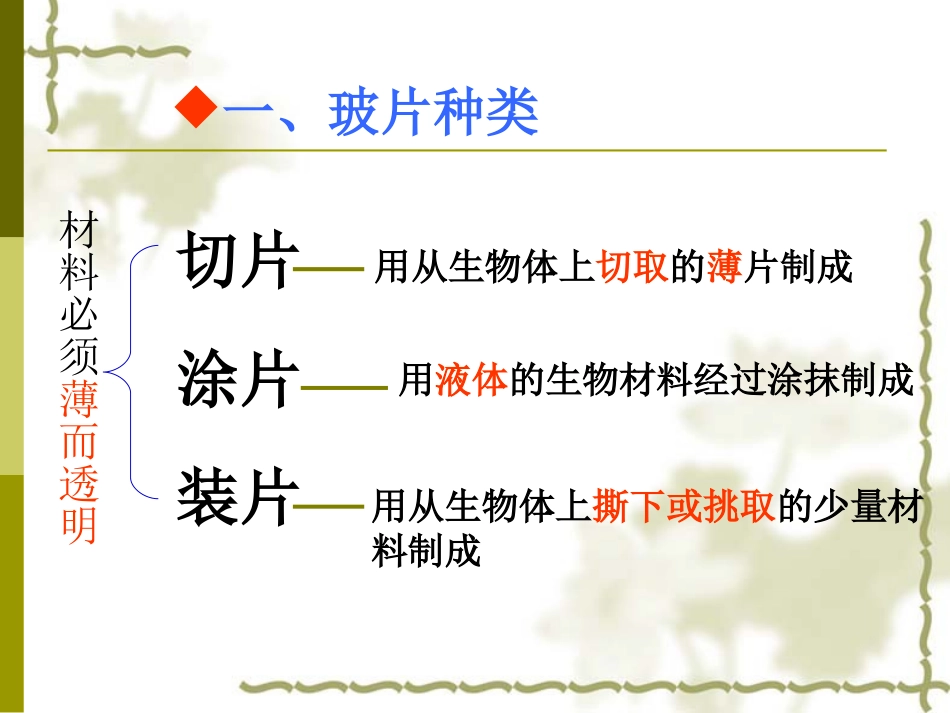 人教版七年级初一上册生物《植物细胞PPT课件》_第3页