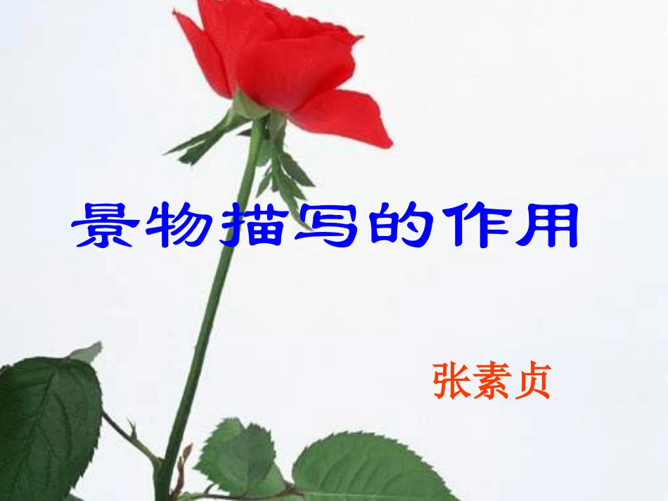 景物描写的作用_第1页