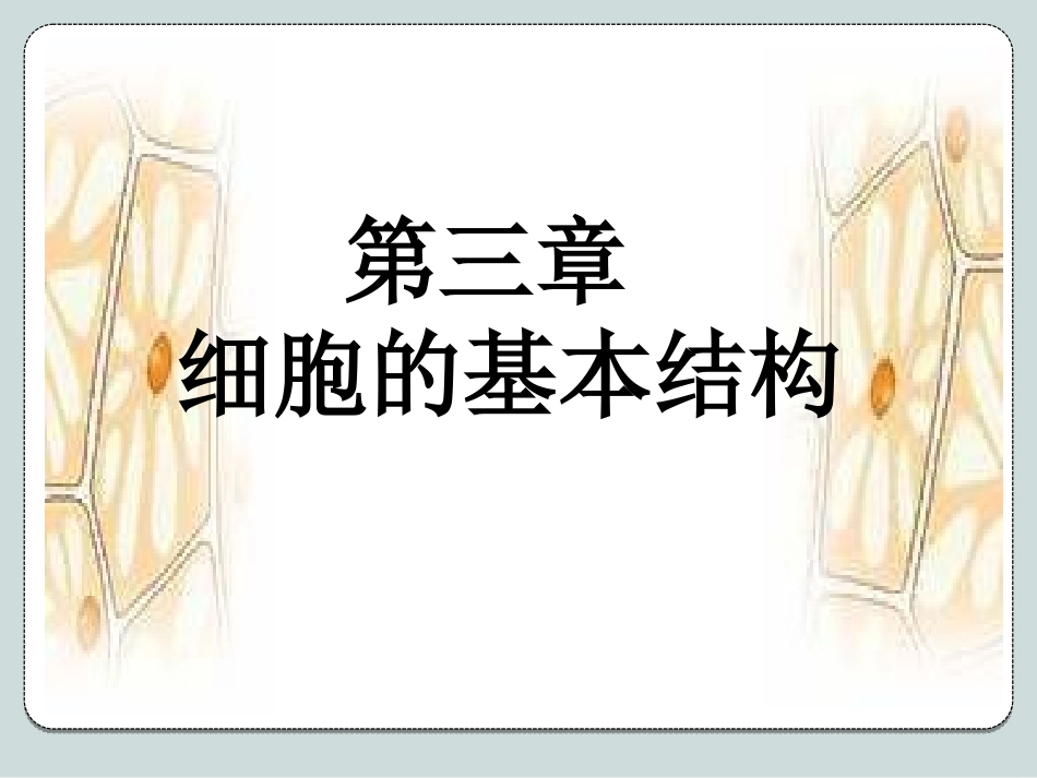 细胞膜系统的边界PPT_第1页