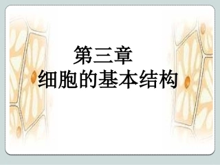 细胞膜系统的边界PPT