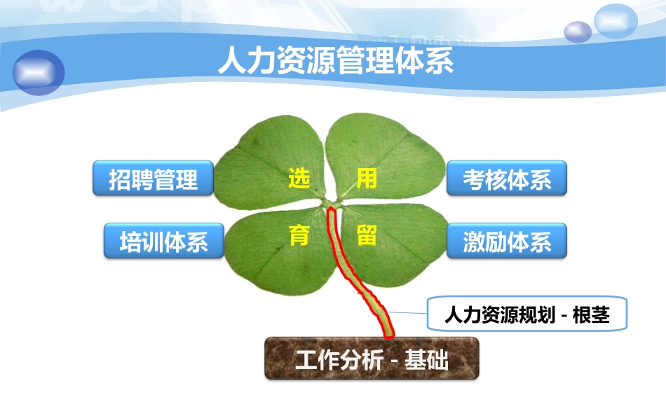 人力资源招聘体系建设_第2页