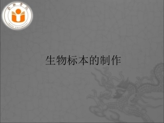 动物标本的制作