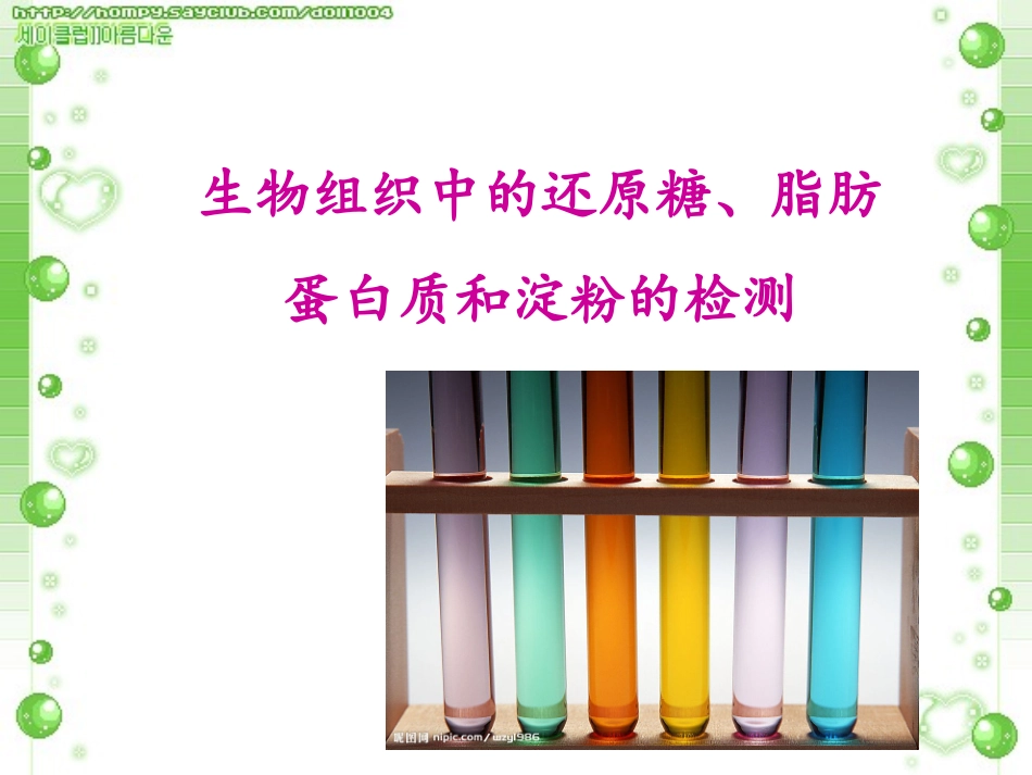 还原糖、蛋白质、脂肪、淀粉的检测_第1页