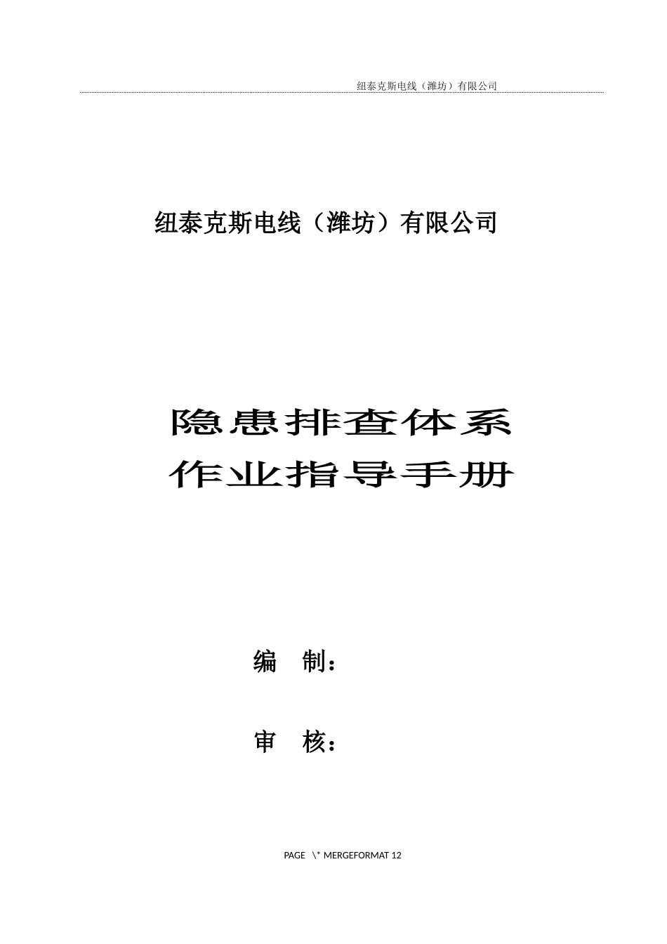 隐患排查治理体系作业指导手册_第1页