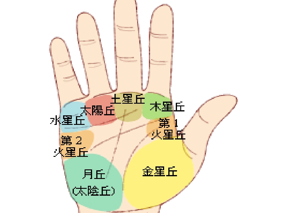手诊-基础知识-贺_第3页