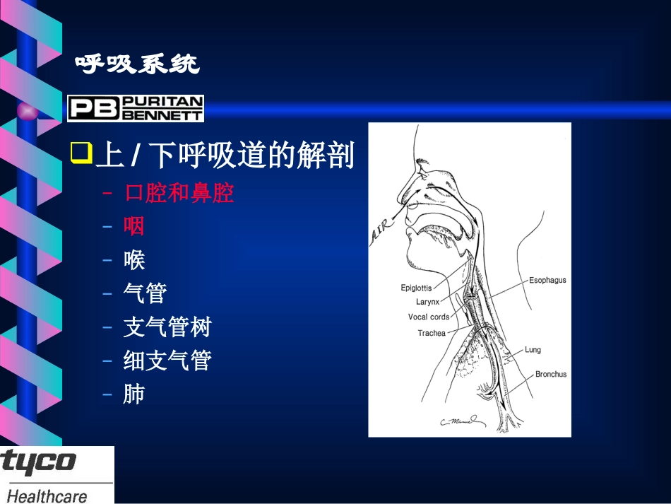 机械通气基础_第3页
