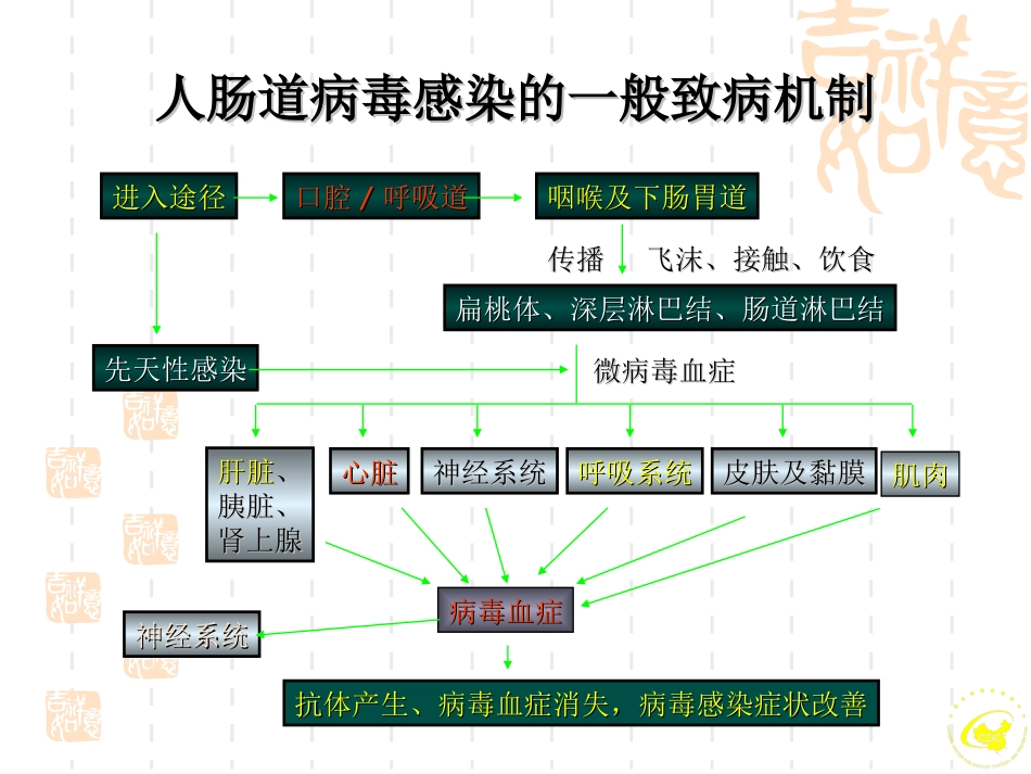 手足口病的病原学及实验室检测_第3页