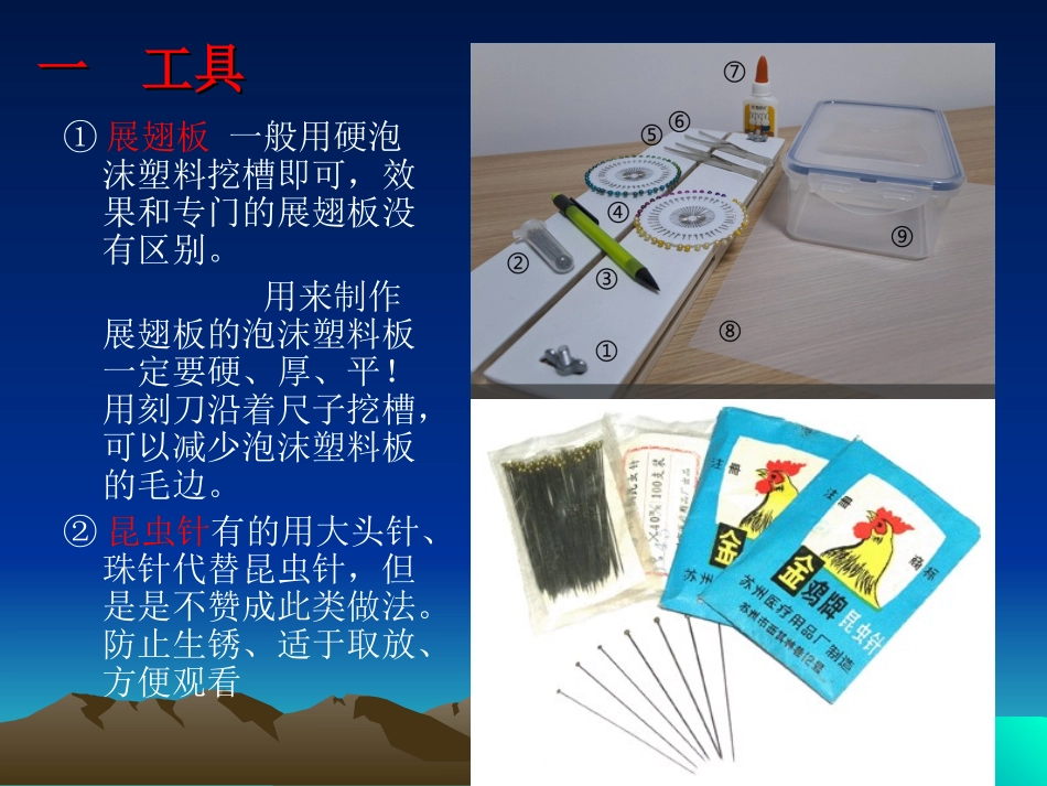 昆虫标本制作-展翅(蝴蝶)_第2页