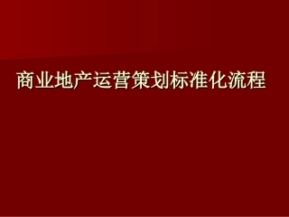 商业地产运营策划标准化流程