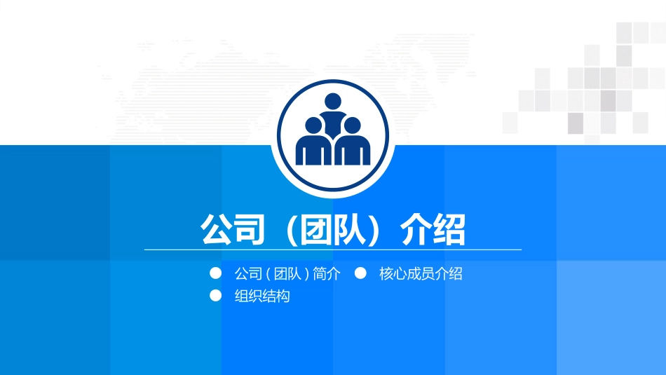 项目融资计划书(模板非常好)_第3页