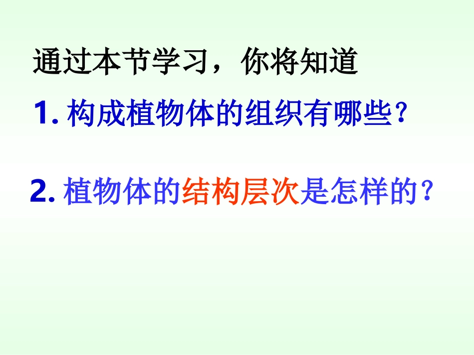植物体的结构层次_第2页