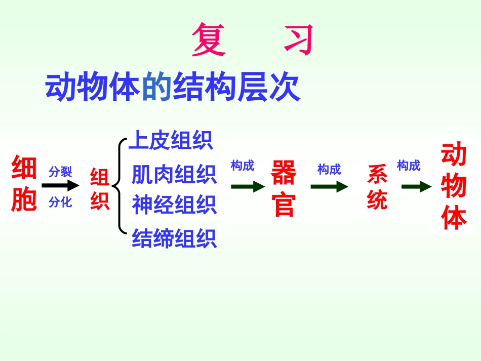 植物体的结构层次_第3页