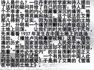 雪落在中国的土地上课件