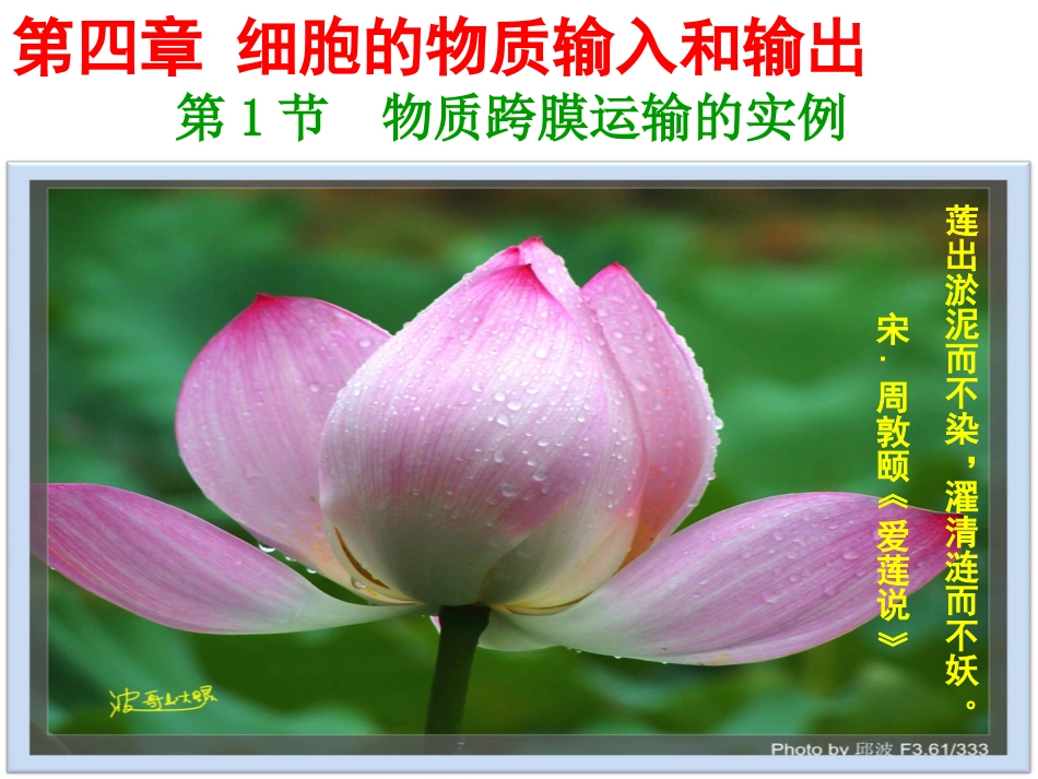 物质跨膜运输的实例(优质课)_第1页