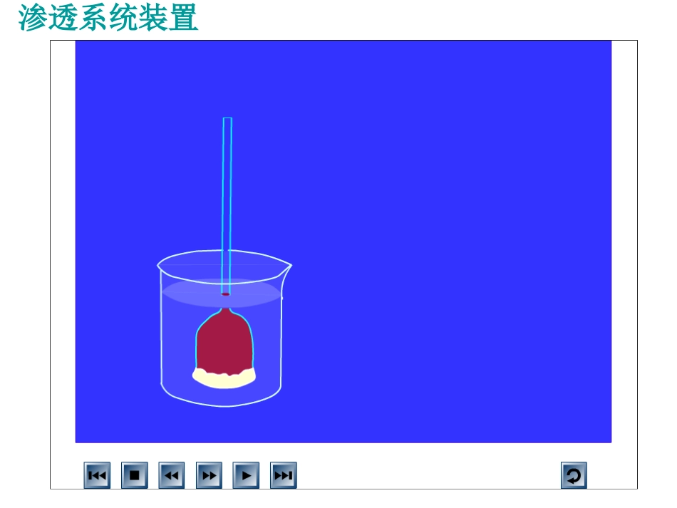 物质跨膜运输的实例(优质课)_第2页