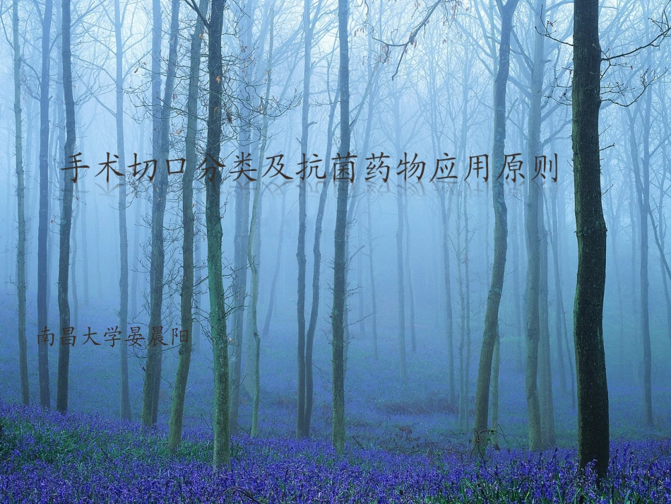 手术切口分类及抗_第1页