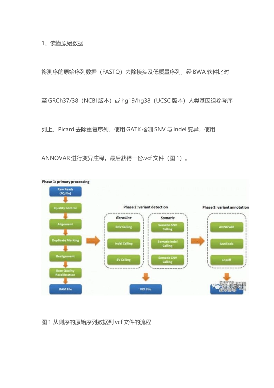 肿瘤基因检测的解读流程_第2页