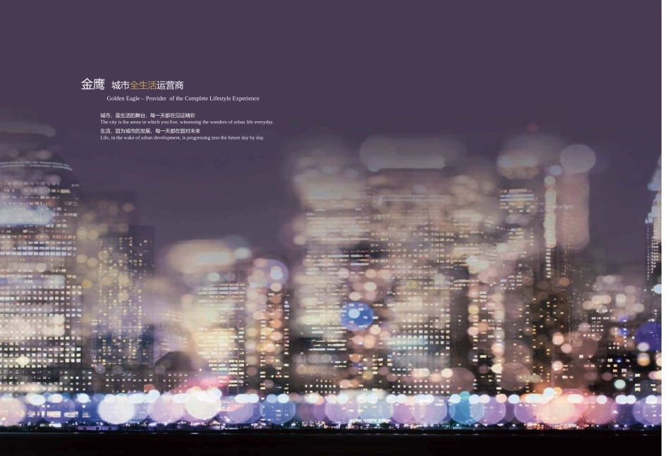 南京金鹰二期全生活中心招商手册资料_第3页