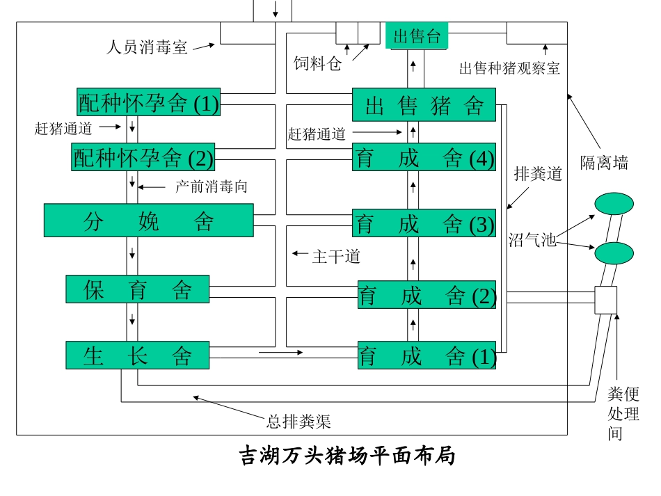 各大猪场平面设计图!!!_第3页