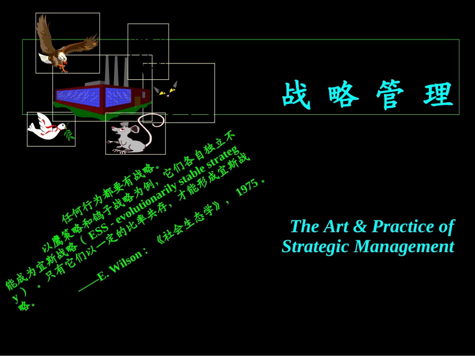 企业管理必修：企业战略管理全集(281页  超级全面)_第2页