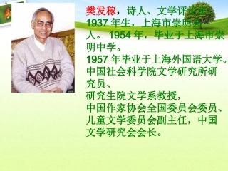 桥之思ppt--课件