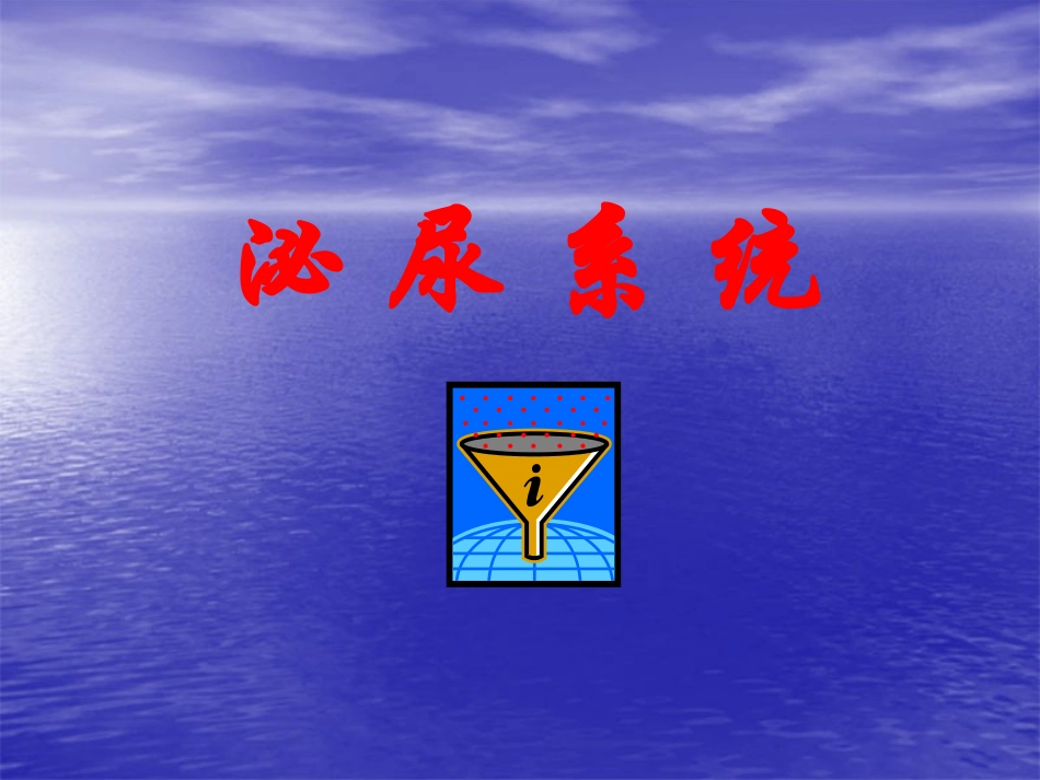 解剖__泌尿系统_第1页