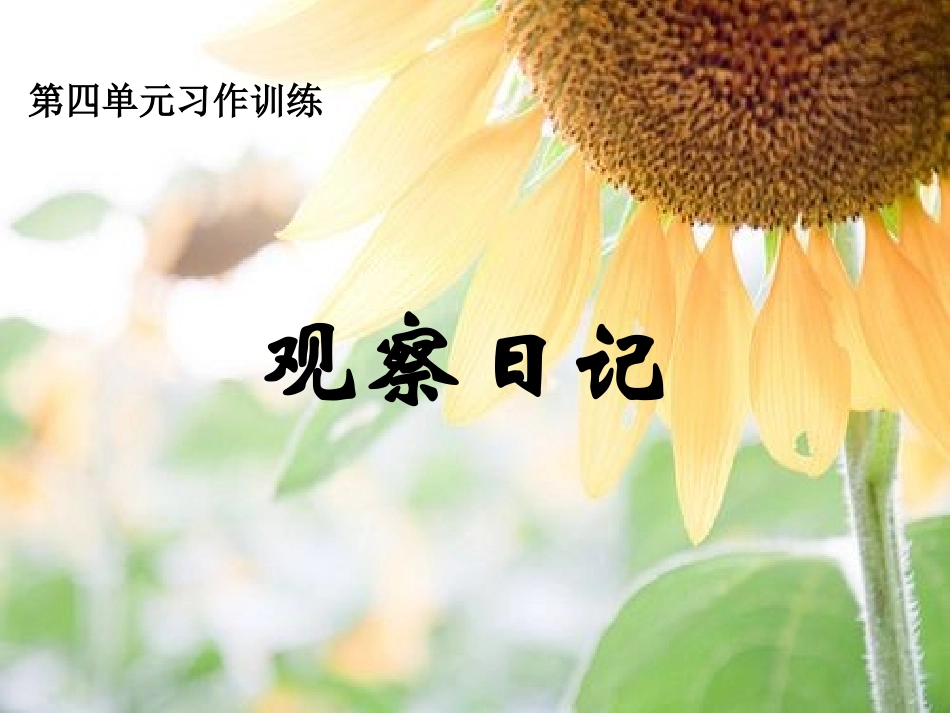 习作四：观察日记(豆芽成长记)_第1页