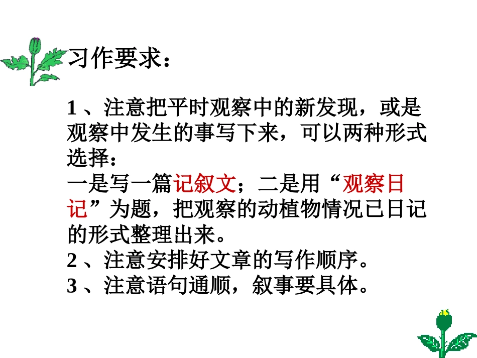 习作四：观察日记(豆芽成长记)_第3页