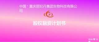 丽妃丹股权融资商业计划书