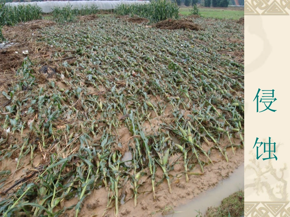 五年级科学上册 河流对土地的作用 1课件 教科版_第3页