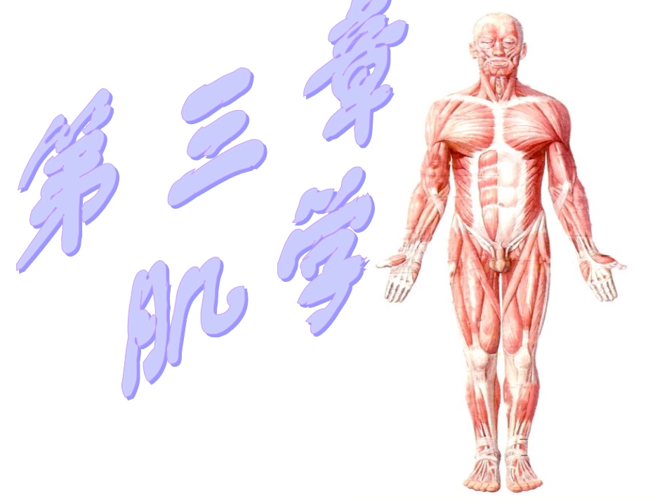 运动解剖学(肌学)_第1页