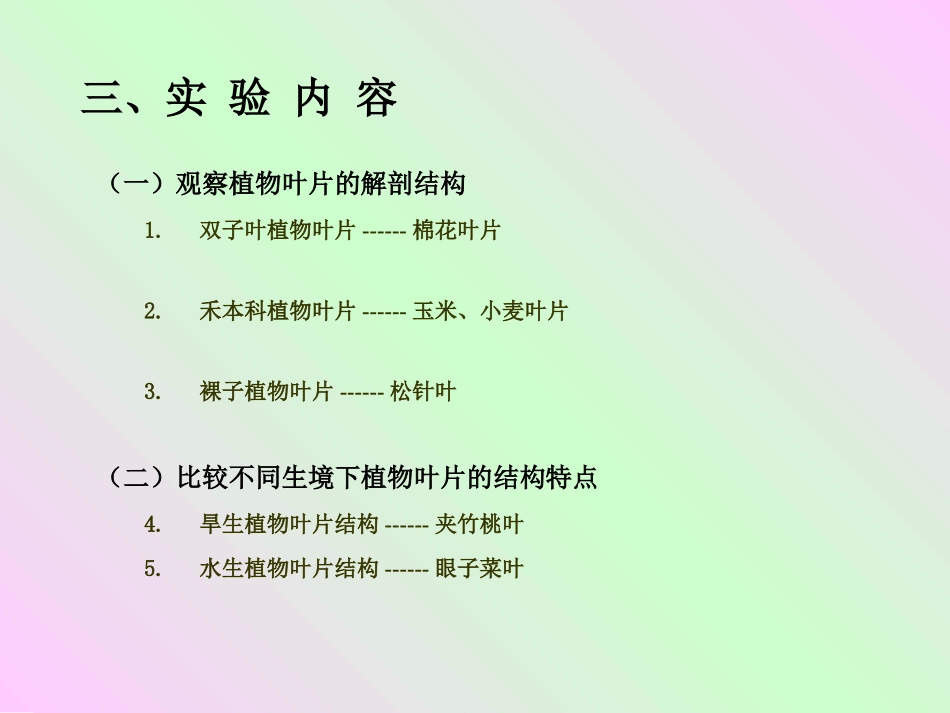 实验六 叶的解剖结构_第3页
