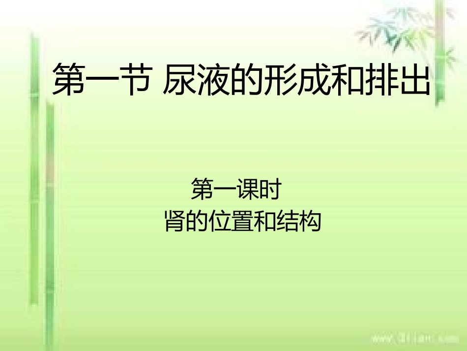 肾脏的结构和功能_第1页